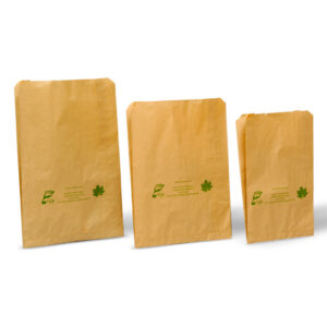 Sacs papier Kraft