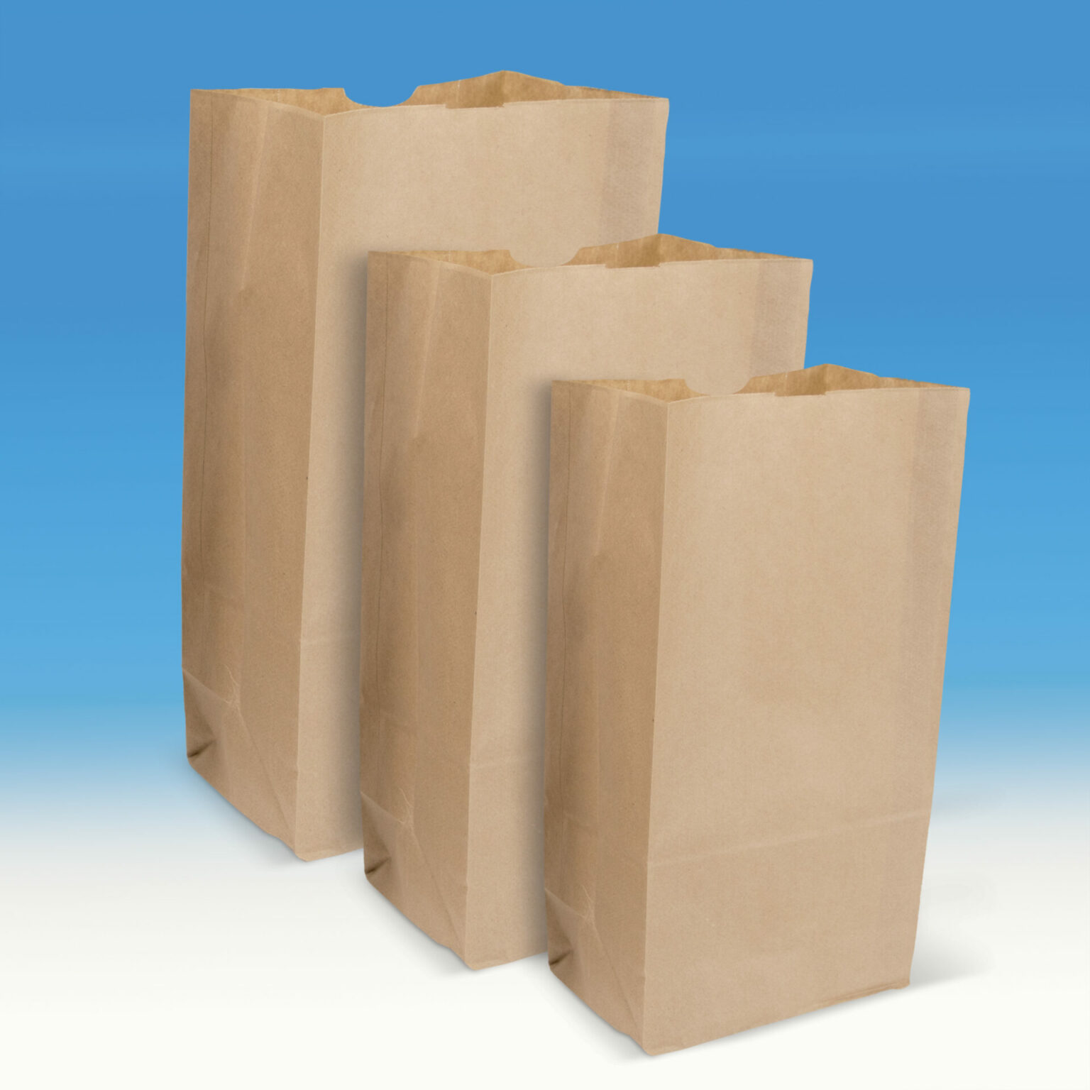Lot De 100 Sacs En Papier Kraft Blanc - Dimensions 16 X 6 X 12 Pouces, Avec Poignées, Marque ProLine