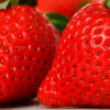 Emballages alimentaires fruits et légumes