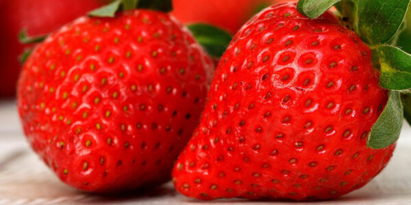 Emballages alimentaires fruits et légumes